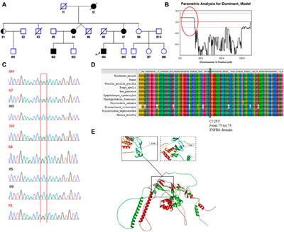 A rare missense p.C125Y mutation in the TNFRSF1A gene identified in a Chinese family with tumor necrosis factor receptor-associated periodic fever syndrome